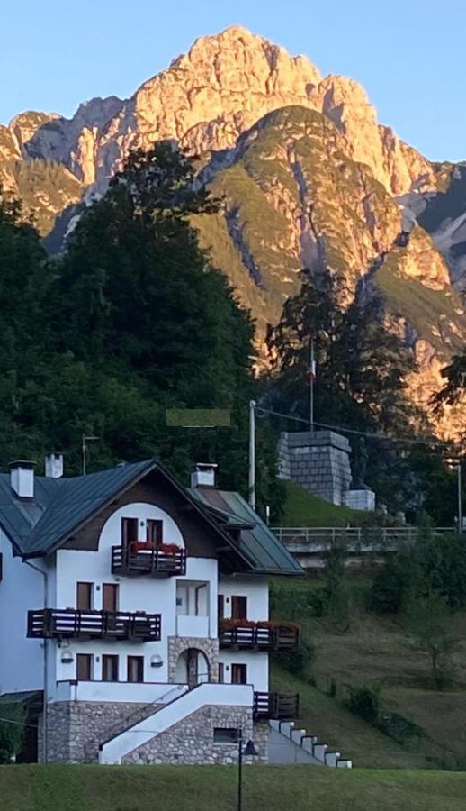 La Casa Di Monte Ricco Apartment Pieve di Cadore Exterior photo