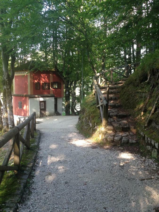 La Casa Di Monte Ricco Apartment Pieve di Cadore Exterior photo